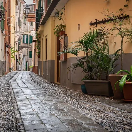 Insapria, Caressa De Mae *